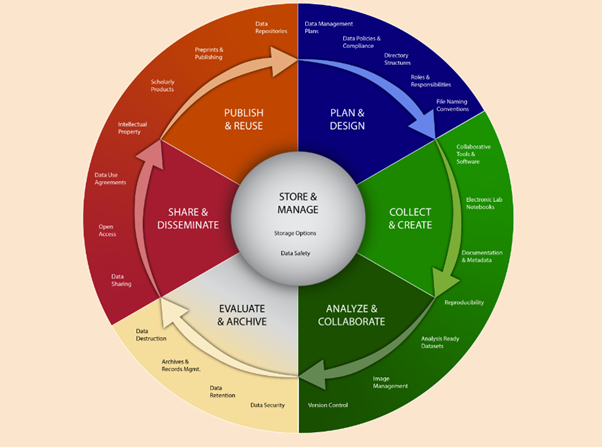 data management plan (DMP)